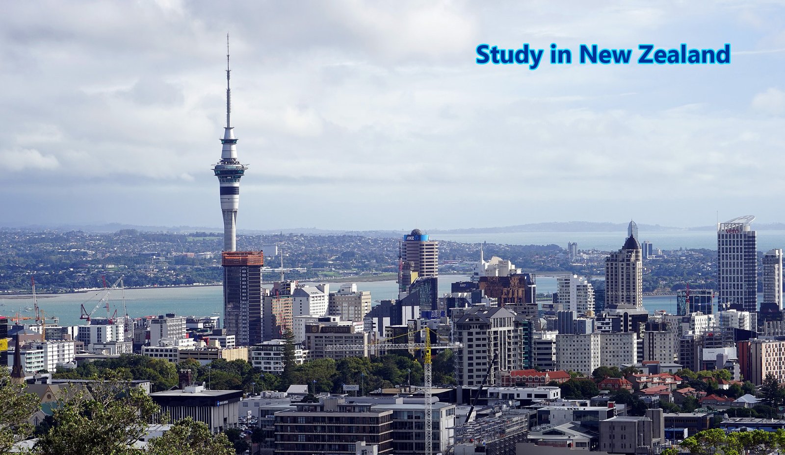 Study in New Zealand Study in New Zealand